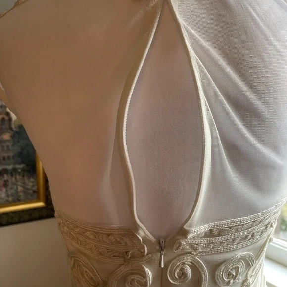 Designer Cache Elegant Sheath Amazing Applique - Picture 4 of 16